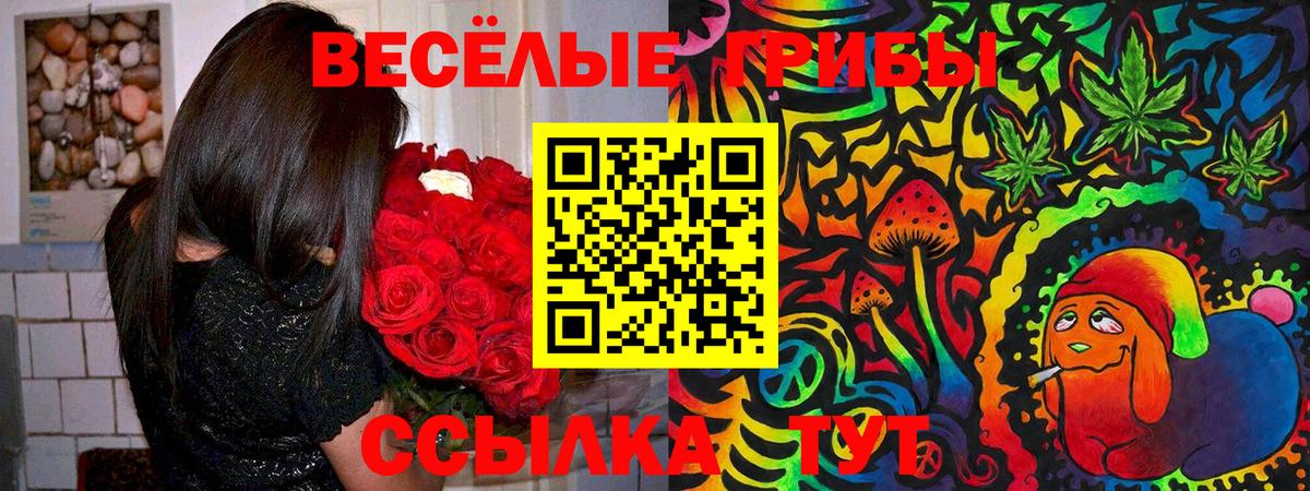 Псилоцибиновые грибы Psilocybe Коломна